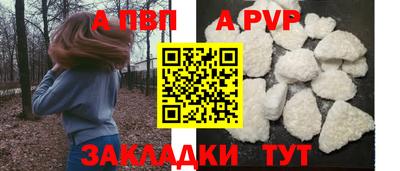 гашик Камышлов