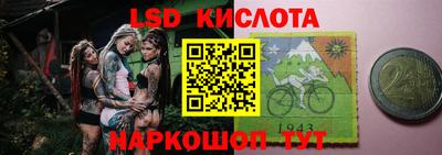 гашик Камышлов