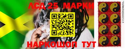 гашик Камышлов