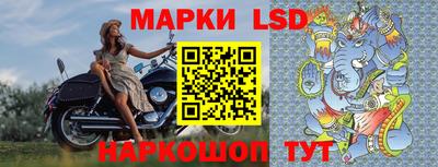 гашик Камышлов
