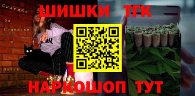 гашик Камышлов