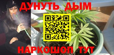 гашик Камышлов