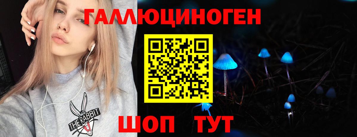 Галлюциногенные грибы Psilocybe Коркино